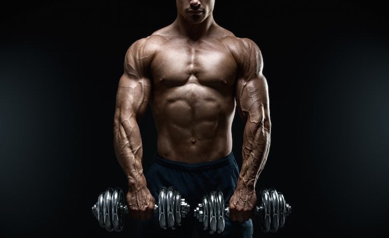 Anabolic-Steroid-Half-Life Anabolic-Steroid-Half-Life