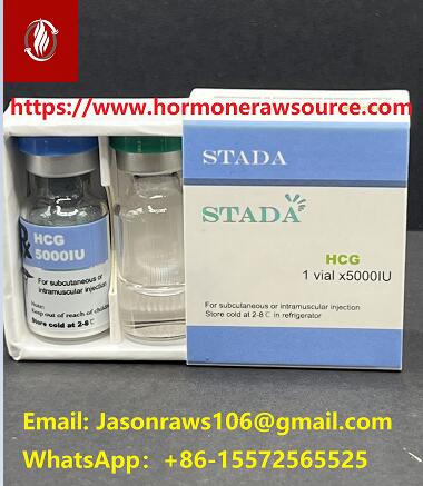 Gonadotrofina coriônica humana (HCG) para CAS de musculação:9002-61-3