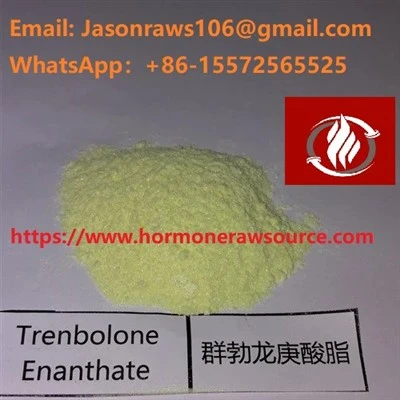 Pó superior de Trenbolone Enanthate para o halterofilismo CAS:1629618-98-9