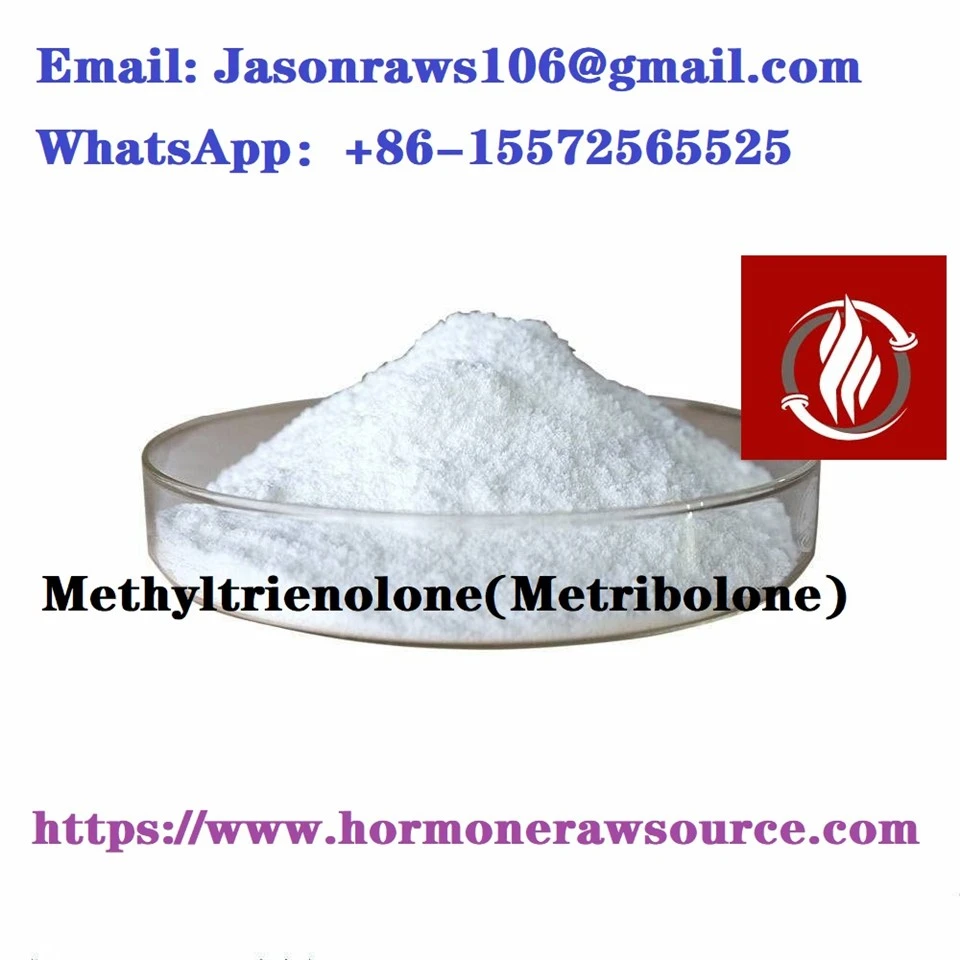Pó de metiltrienolona (Metribolona) de{0}}qualidade superior para musculação CAS:965-93-5